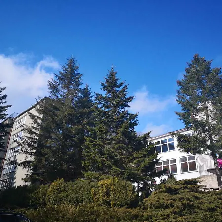 Apartament Zielony Zdroj Bad Altheide Exterior foto