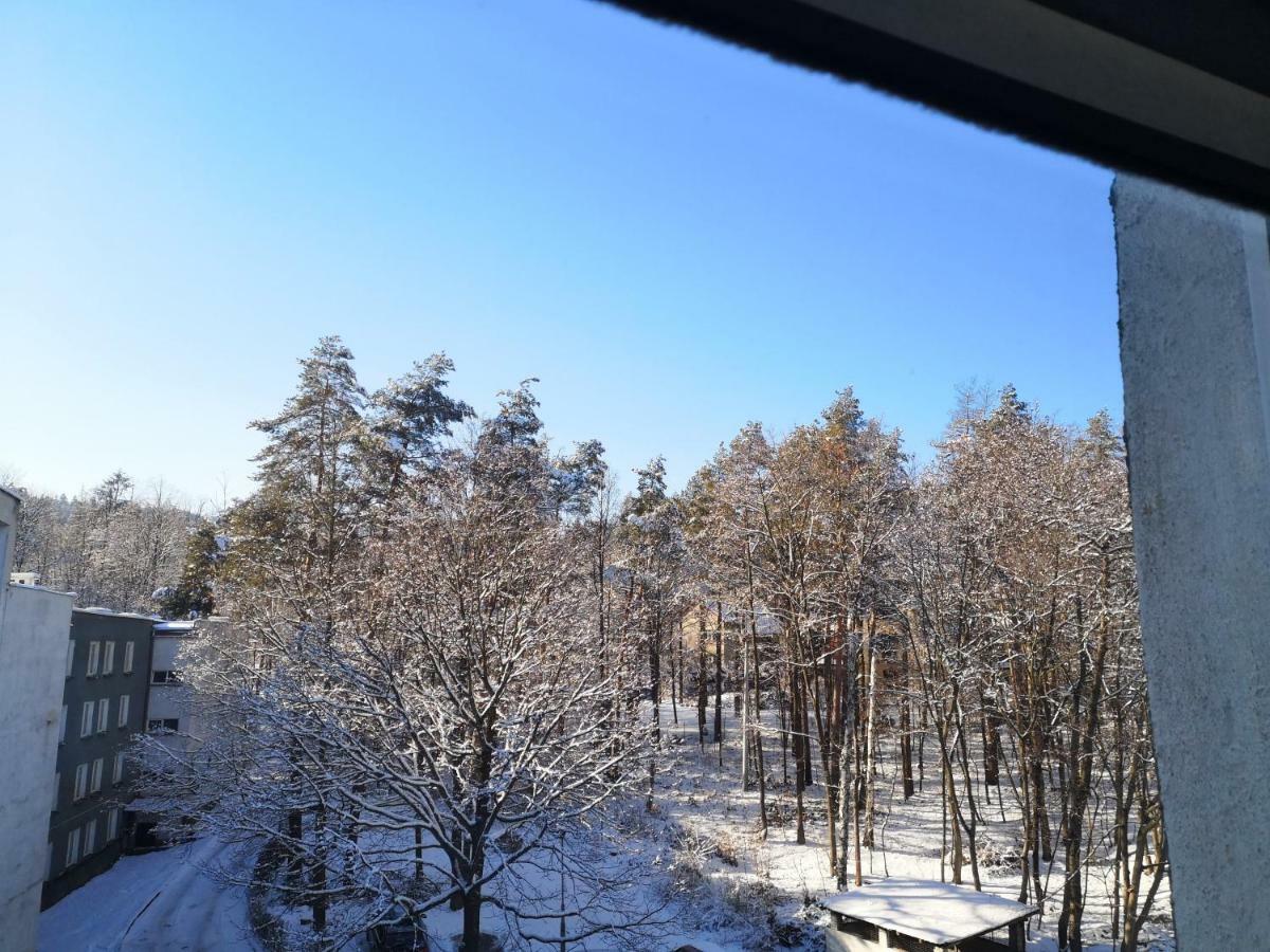 Zdrój Apartamento